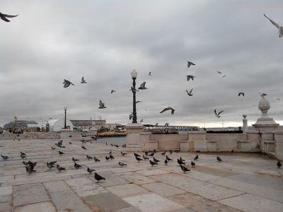 zaharah23's profile picture. Life is a journey from Allah and to Allah