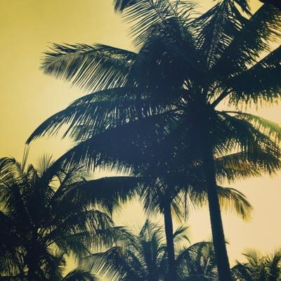 positiveways123's profile picture. I'm on a roller coaster that only goes up, my friend. • a smile a day keeps the negativity away. :-)