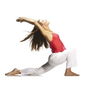 Yoga Vidya, Europe's biggest Network of Yoga, Meditation and Ayurveda Ashrams, Centers, teachers and therapists.