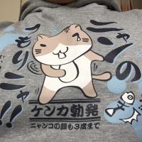 【相互フォロー】ニャンのつもりニャ!! (@nyan_914) 's Twitter Profile