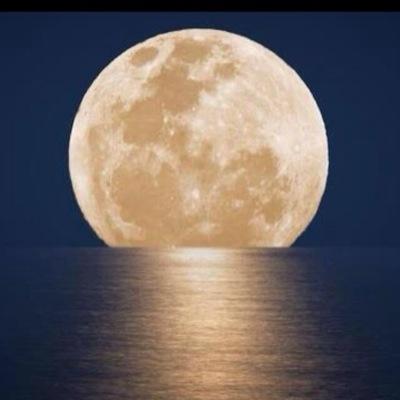 ShafaqTwo's profile picture. There is a fountain inside you. Don't walk around with an empty bucket.

Rumi..