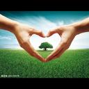 Danny Lao Wing - @LaoWingDanny - Twitter