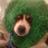 dante_nido's profile image