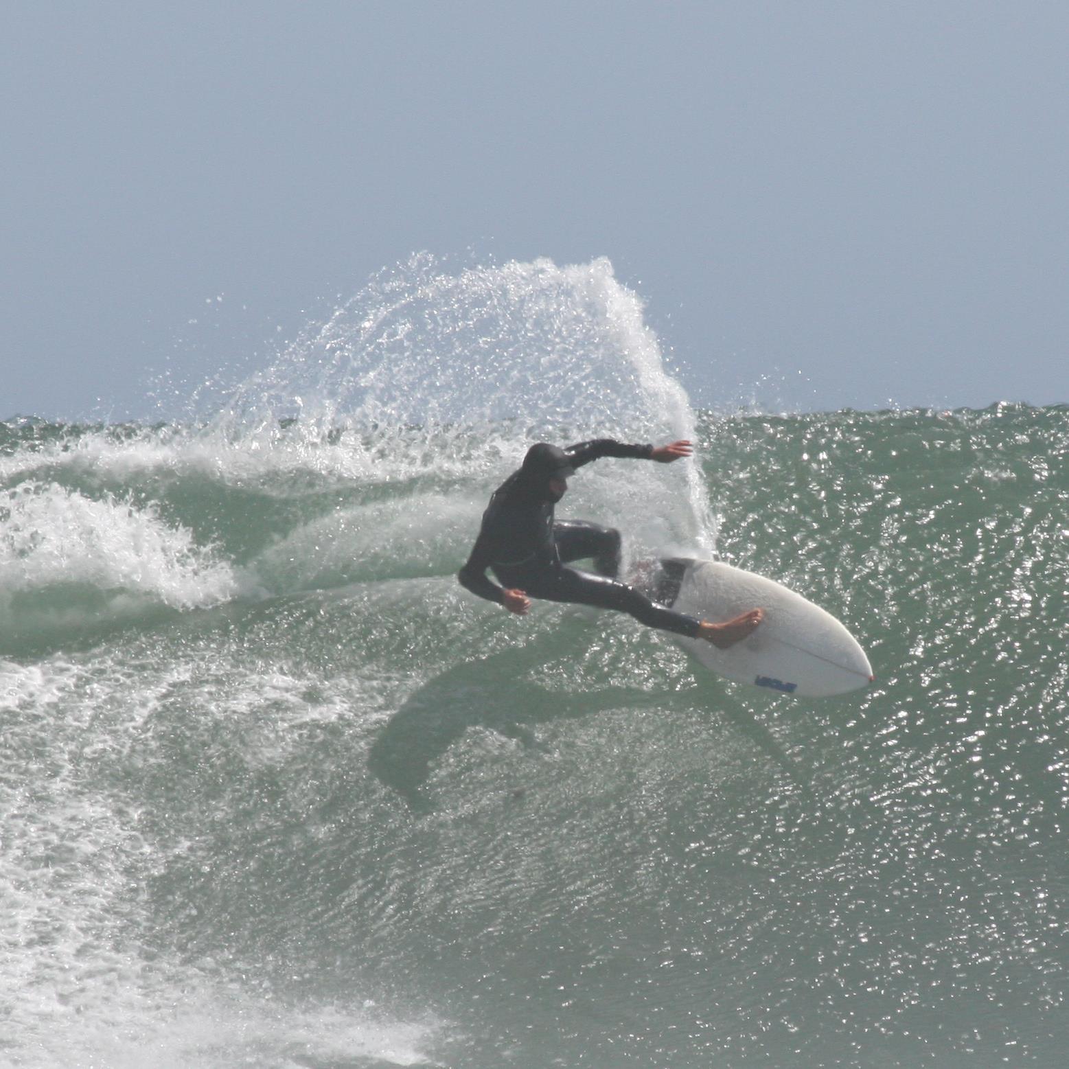 sharknetMark's profile picture. 