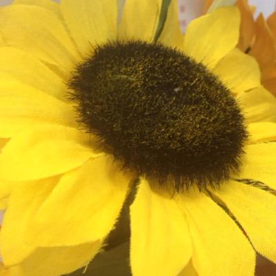 Elenagargar's profile picture. 