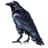 mertwetz's profile image