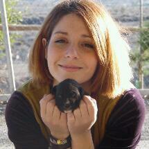 wwwwwwblogmaria/3.com