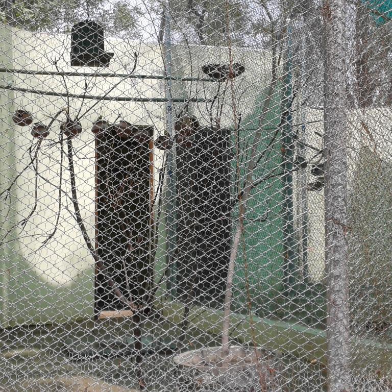 kuldeepsinghvip's profile picture. 