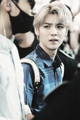 บอทลู่ฮะ