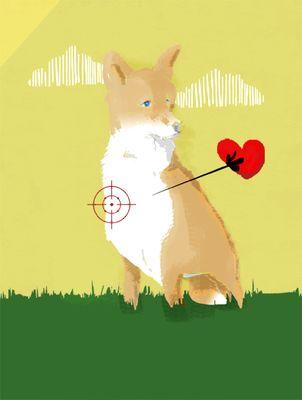 Illustrator