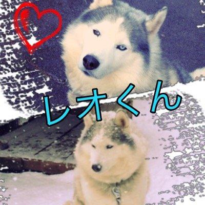 あやみ旬果のなりきりアカウントよ！　似てると思ったらフォローしてね！