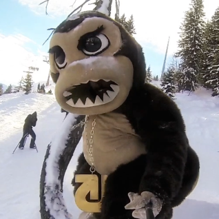 Snowpark Avoriaz, The Stash & Shreddie, Half-pipe, Boardercross, Snowcross, Snowboard Ski PowPow