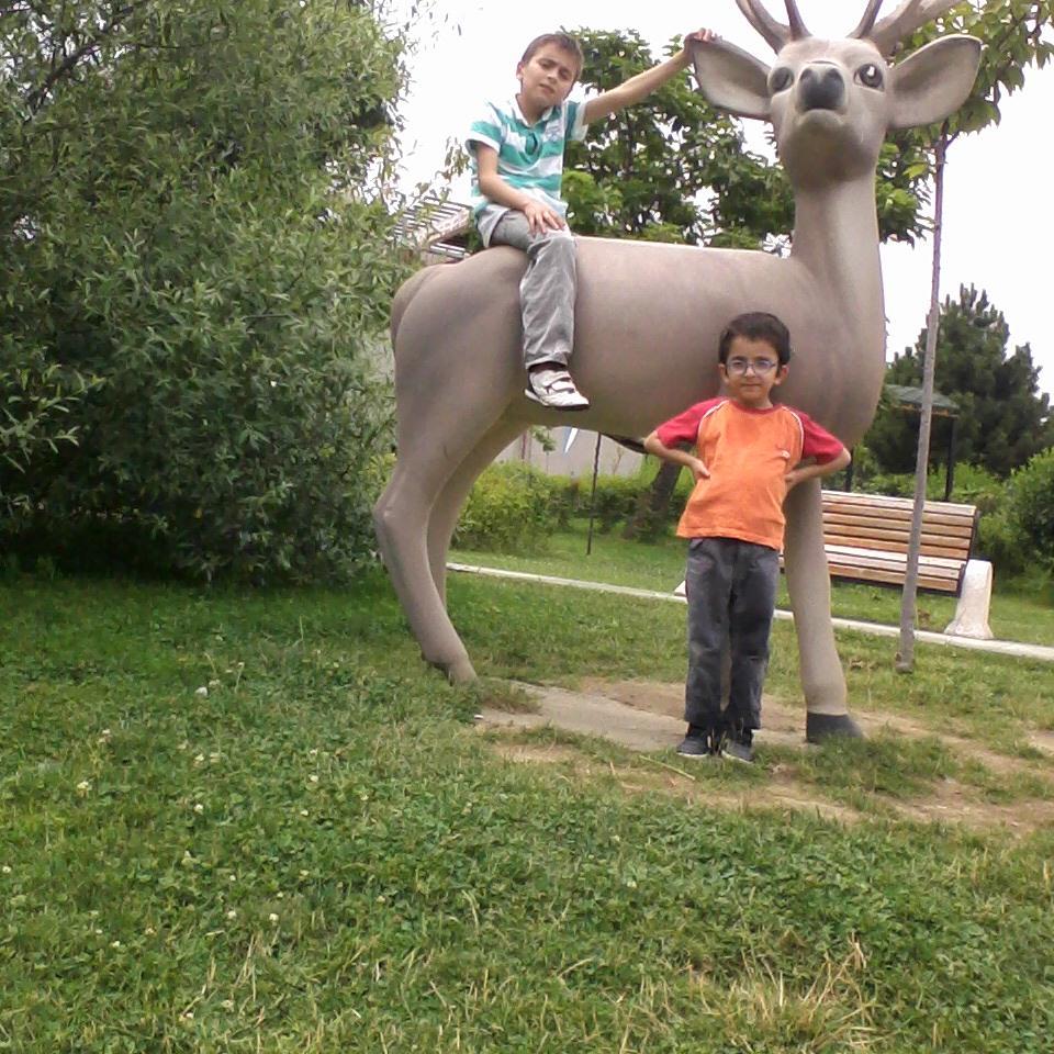 y165151's profile picture. 