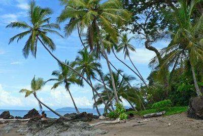 hantz_jr's profile picture. 