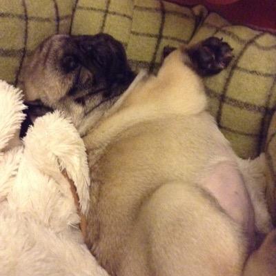 ILusIVEShotS's profile picture. Live your life to the max people becuase its not there forever