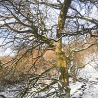 Nick Austin (@nickaustin18) 's Twitter Profile