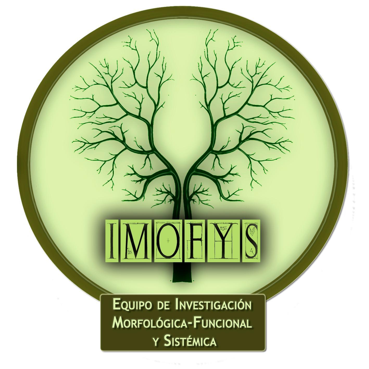 Equipo de Investigación Morfológica-Funcional y Sistémica