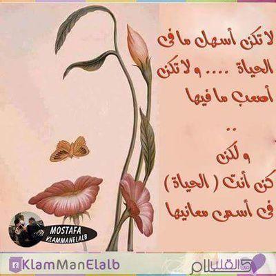 hamadakaotsh's profile picture. 