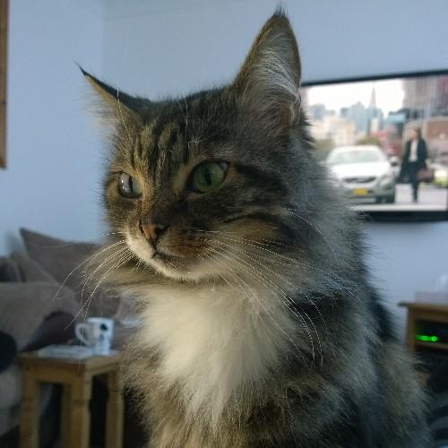 XboxScanner's profile picture. none