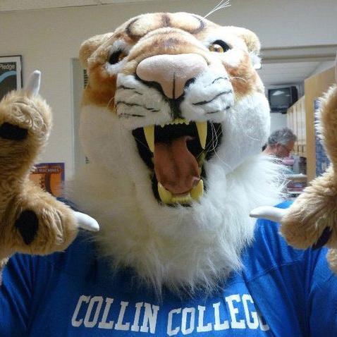 The official mascot of Collin College.