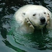 город ярости 💙💛 (@ciudaddlfuria) 's Twitter Profile