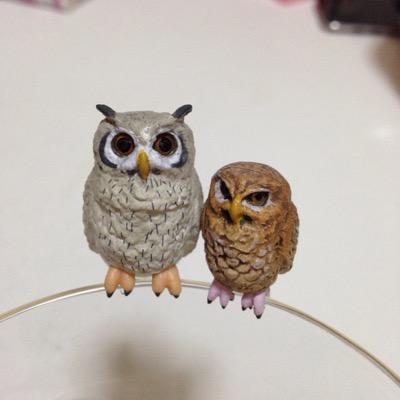 (淫夢要素はあるわけ)ないです。茄子くんのあんよソムリエ皆伝。ハーコーとエロが無いと死んじゃう病。詳しい事はついプロへ。