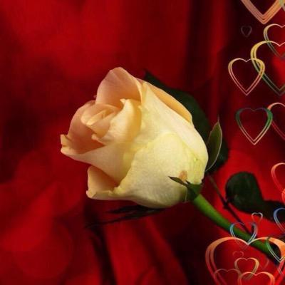 تم تغير حسابى الى الحساب @3_oo8e