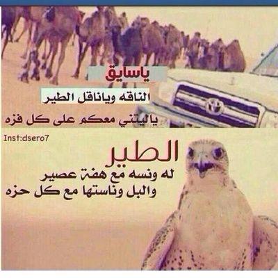 ‏‏‏‏‏‏‏‏‏‏‏‏‏.  ♡ محب { ل } الشععر ♡                                                                     ‏حنا ليا شفنا ماعفنا من الناس
نقفي عن المخطي كرامه وشيم