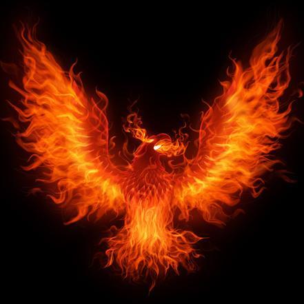 Master696's profile picture. 