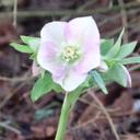 Sharon Cabral 💙 - @SharonCabral - Twitter