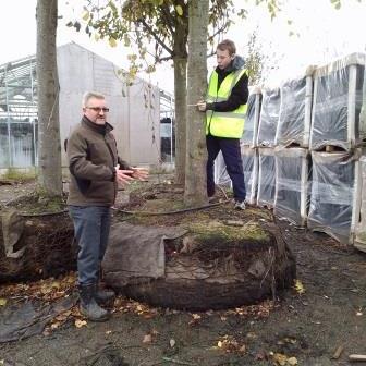Horticulture