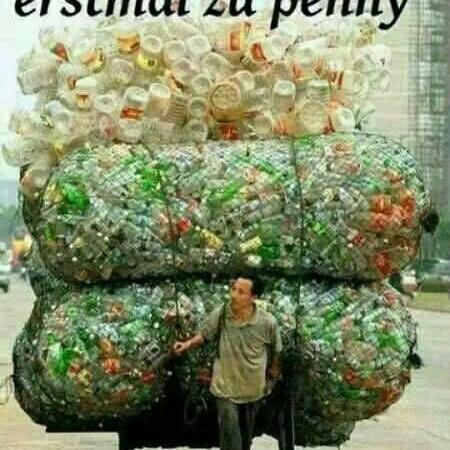 ingoPaulmann's profile picture. 