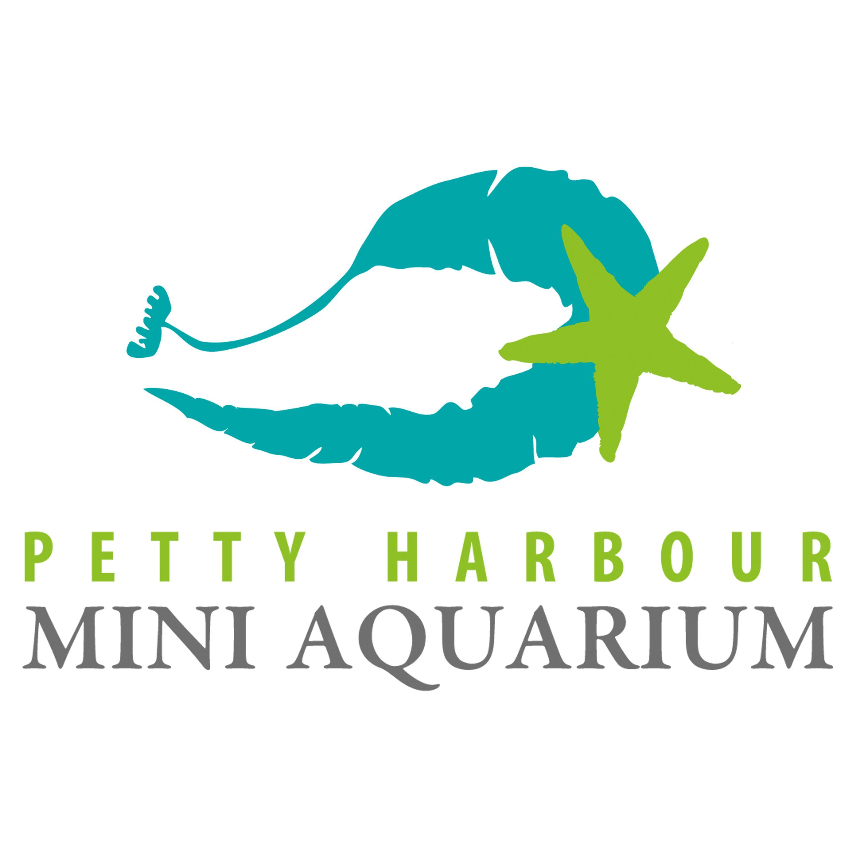 A hands-on catch-and-release mini aquarium in Petty Harbour, NL. A charity with a mission to foster curiosity about local marine life. Open 10-6 daily!