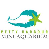 Petty Hr Mini Aqua(@PettyHrMiniAqua) 's Twitter Profile Photo