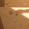 MIMoMA22's profile picture.
