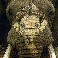 𝕍é𝕣𝕠𝕟𝕚𝕢𝕦𝕖 - Inde-en-livres.fr (@atasiblog) 's Twitter Profile Photo