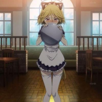 TOLOVEる・脳コメ・はがない・中二病・リボーン・進撃・デートアライブ・ロウきゅーぶ・ニセコイ・ラブライブ・俺ガイル・中妹・恋チョコ・彼フラ・金時・迷い猫・甘ブリ・新妹・銃皇・トリ7。大好きです!