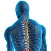 Registered Osteopath providing safe and effective treatment for all musculoskeletal injuries and conditions. 01925 298776