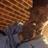 NeeMoHoez__'s profile image