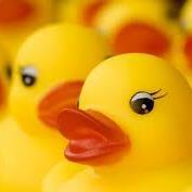 PataEnFila's profile picture. Soy una Pata con sus patitos en fila :)