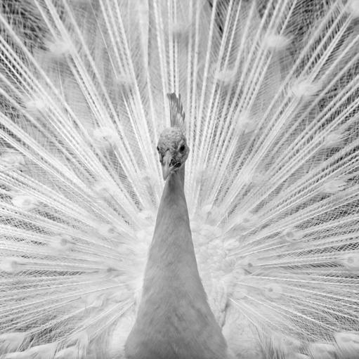 N2Progress's profile picture. There's always a opportunity, so be prepared