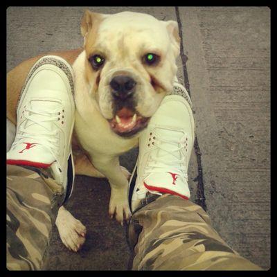 Djcristian507's profile picture. Dj y Dueño de la @DynastyMovil   --  ♥ - team,s  The Kings Of Madness & @BSMPanama - “ni mezclo ni animo” soy humilde, sociable, https://t.co/taKiUYi7Ga