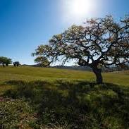 Need some land for your outdoor activities or dreams? I know of the perfect place, Ramona has amazing views and acres for you!