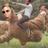 LumpsTesticles's profile image