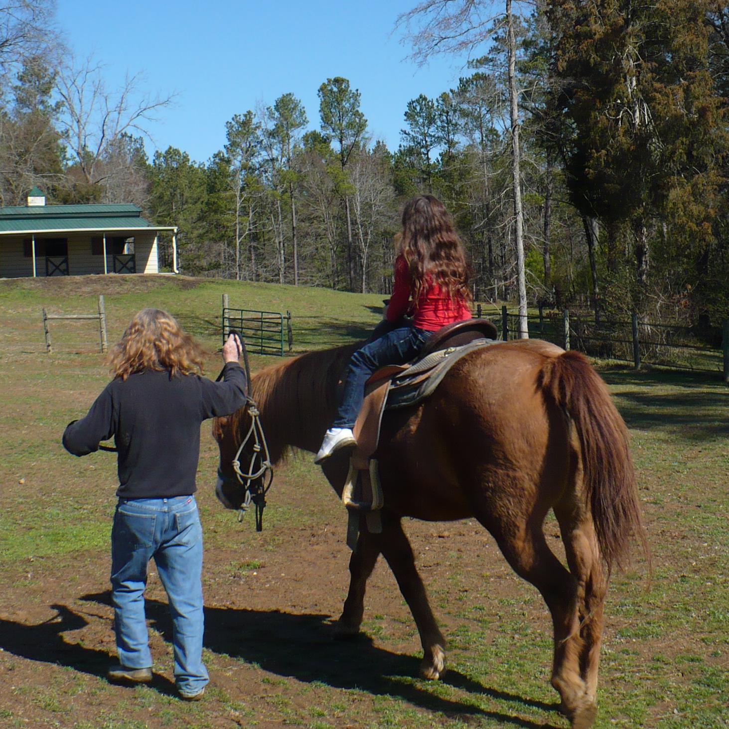 Less government, more horses.
