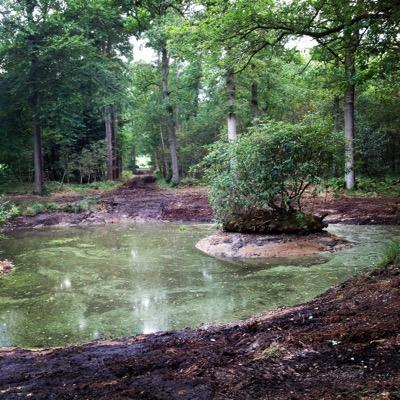 Het bos Oranjewoud is prachtig in alle jaargetijden. Geniet mee!