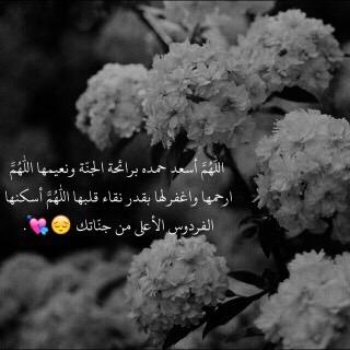 Ms8lbi's profile picture. ..ﻟﭑ ﺂﻟہ إلآ ﺂ̲ﻟ̲ﻟـّہ محَّمْدٌ رسٌــَّول ﺂ̲ﻟ̲ﻟـّہ