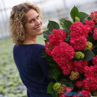 van den berg est (@vdbergest) 's Twitter Profile