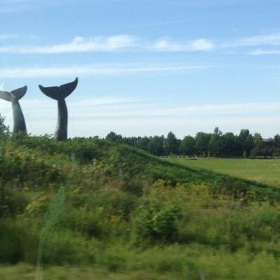 motherfudger9's profile picture. fuck this shit