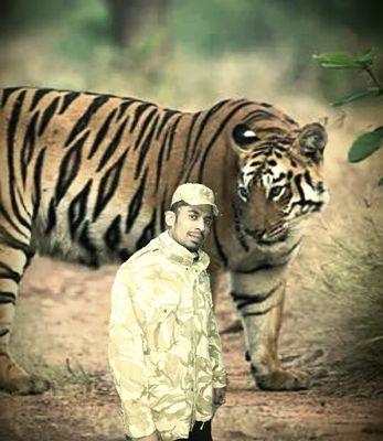 CORBETT king